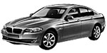BMW F10 B110C Fault Code